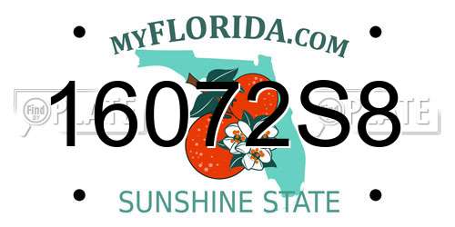 16072S8 Florida License Plate