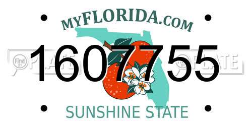 1607755 Florida License Plate