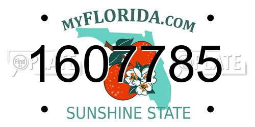 1607785 Florida License Plate