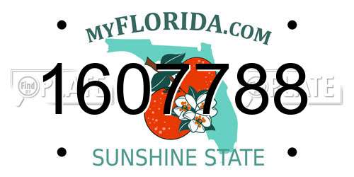 1607788 Florida License Plate