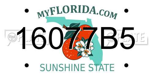 16077B5 Florida License Plate