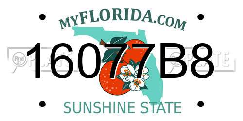 16077B8 Florida License Plate