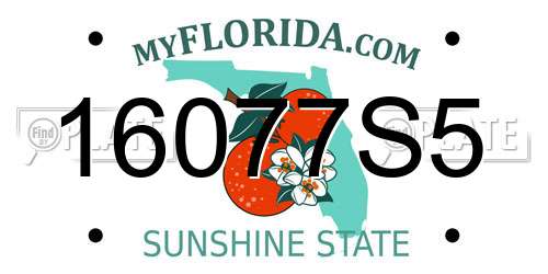 16077S5 Florida License Plate