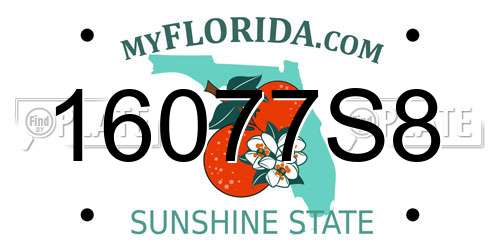 16077S8 Florida License Plate