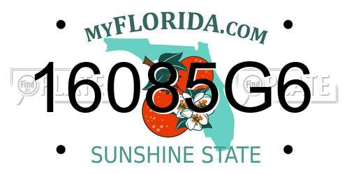 16085G6 Florida License Plate