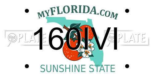 160IVI Florida License Plate