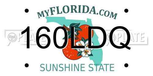 160LDQ Florida License Plate