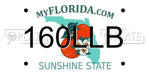 160LLB Florida License Plate