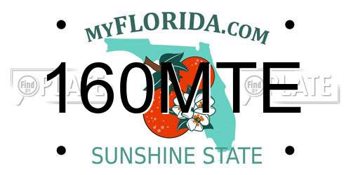 160MTE Florida License Plate
