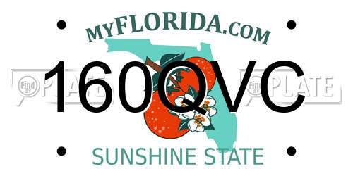 160QVC Florida License Plate