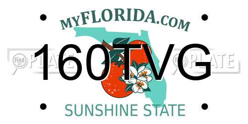 160TVG Florida License Plate