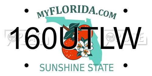 160UTLW Florida License Plate
