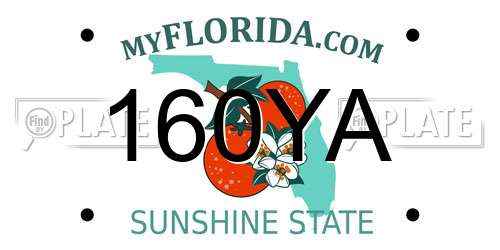 160YA Florida License Plate