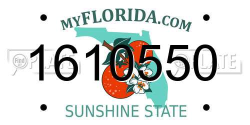 1610550 Florida License Plate