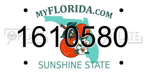 1610580 Florida License Plate