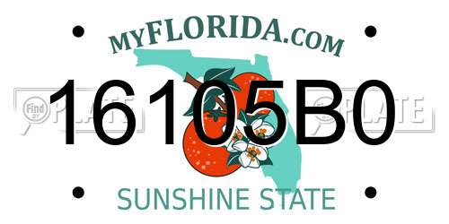 16105B0 Florida License Plate