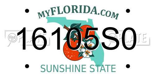 16105S0 Florida License Plate