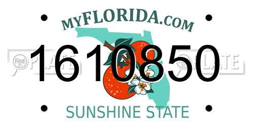 1610850 Florida License Plate