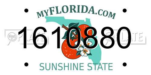 1610880 Florida License Plate