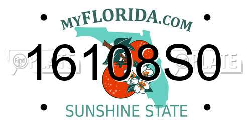 16108S0 Florida License Plate