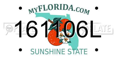161106L Florida License Plate