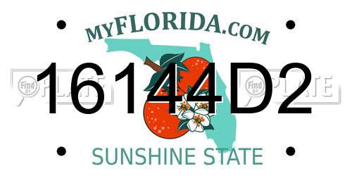16144D2 Florida License Plate