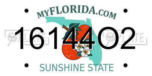 16144O2 Florida License Plate