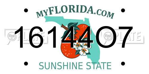 16144O7 Florida License Plate