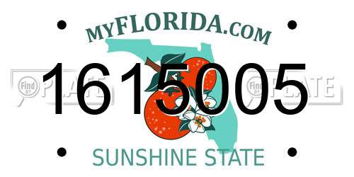1615005 Florida License Plate