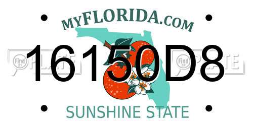 16150D8 Florida License Plate