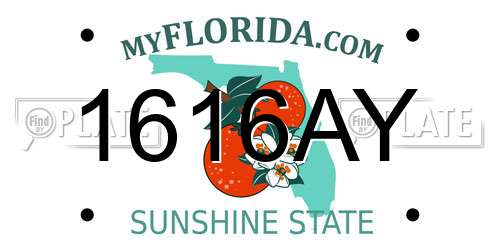 1616AY Florida License Plate