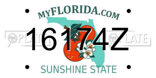 16174Z Florida License Plate