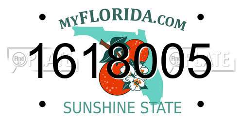 1618005 Florida License Plate