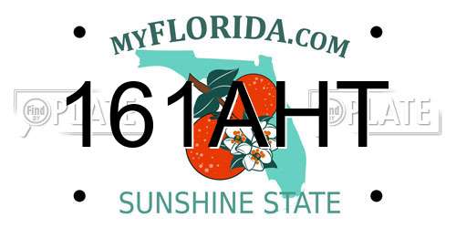 161AHT Florida License Plate