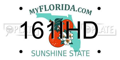 161IHD Florida License Plate