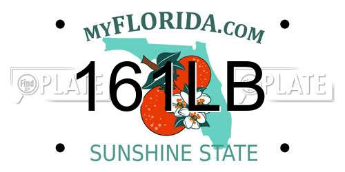 161LB Florida License Plate