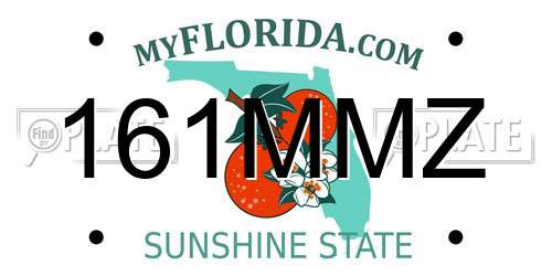 161MMZ Florida License Plate