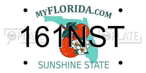 161NST Florida License Plate