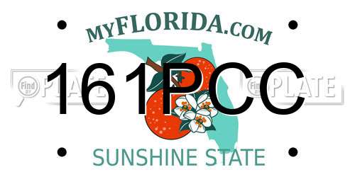 161PCC Florida License Plate