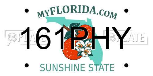 161PHY Florida License Plate
