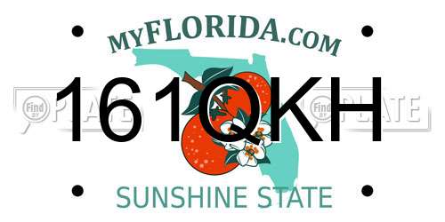 161QKH Florida License Plate