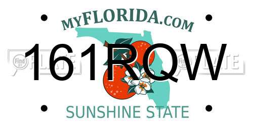 161RQW Florida License Plate