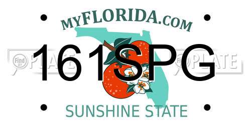 161SPG Florida License Plate
