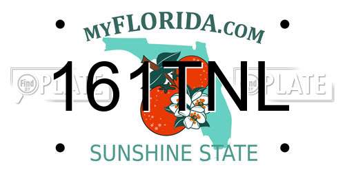 161TNL Florida License Plate