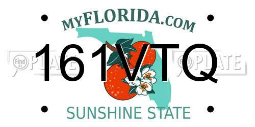 161VTQ Florida License Plate