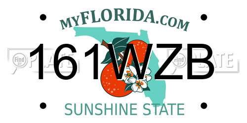 161WZB Florida License Plate