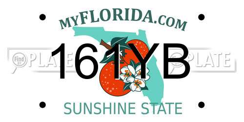 161YB Florida License Plate