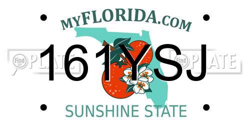 161YSJ Florida License Plate