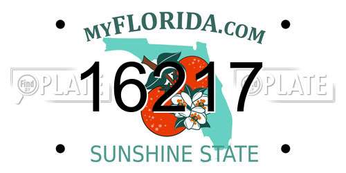 16217 Florida License Plate