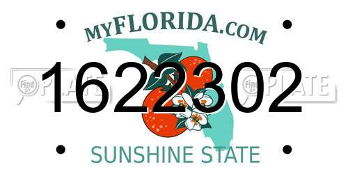 1622302 Florida License Plate